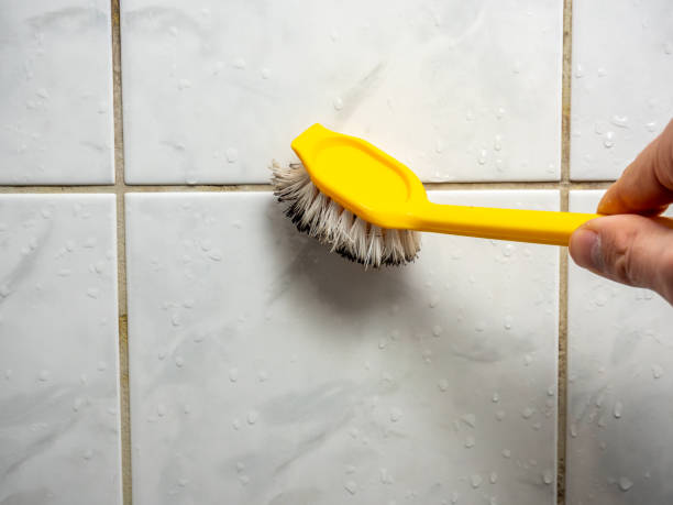 Certified Mold Removal in Old Brookville, NY