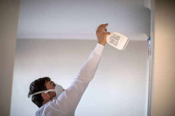 Best Black Mold Removal  in Old Brookville, NY