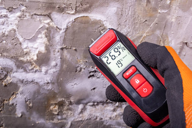 Best Mold Remediation  in Old Brookville, NY