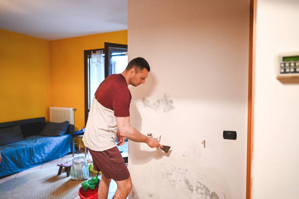Best Certified Mold Removal  in Old Brookville, NY